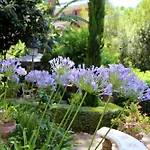 Matissa Guest house 4*