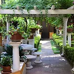 Matissa 4* Rome