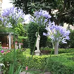 Πανσιόν Matissa 4*