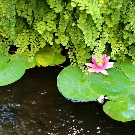 게스트하우스 마티사 4*