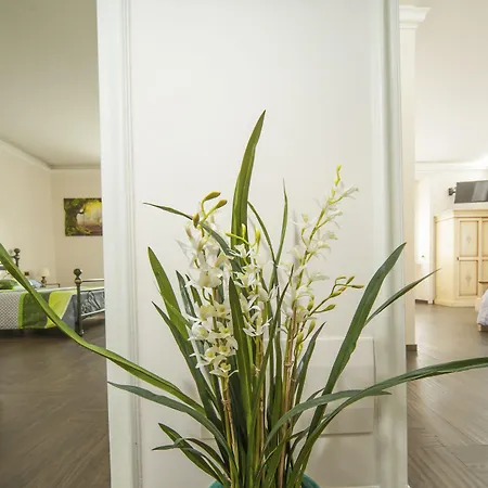 마티사 게스트하우스 로마