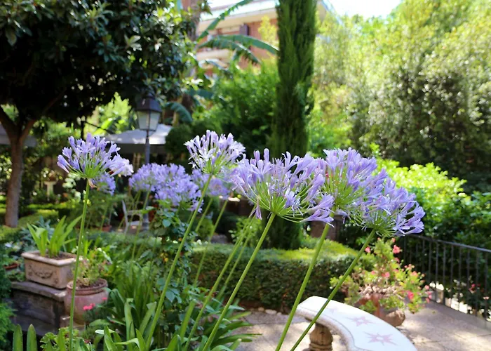 Matissa Pensionat 4*