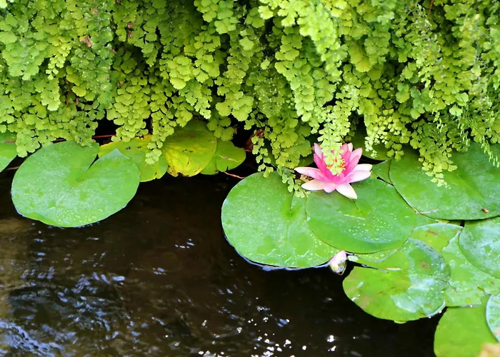 Pensionat Matissa 4*