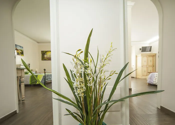 Matissa Affittacamere Roma